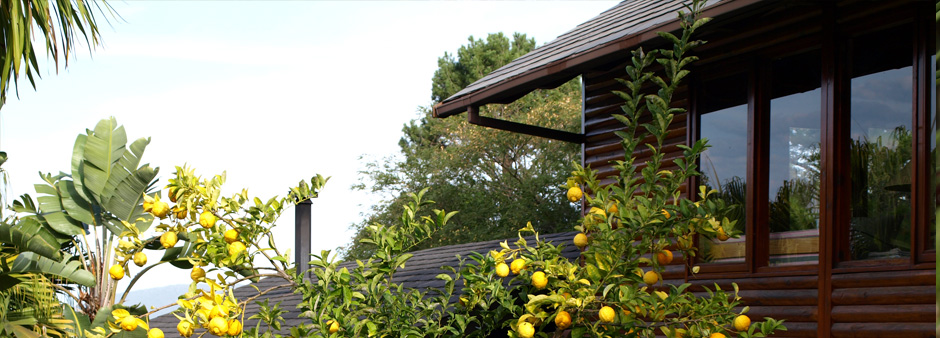 A view of the Lemon Tree Cottage – one of the Knysna self-catering cottages at Zauberberg